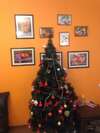 Хостелы hostel kopala Тбилиси-4